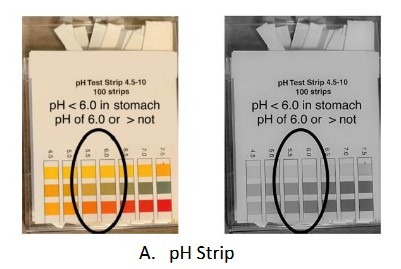 A typical pH test strip's pH scale is shown both in normal color and color blind mode